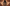 Promotie Banner